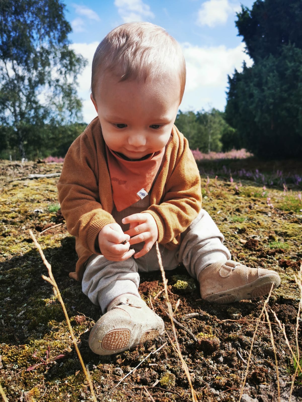 Zen.nl, Zen, meditatie, leren mediteren, foto